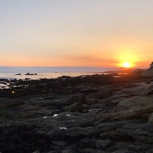 Meet your Posher, Aleena